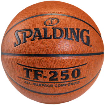 SPALDING TF-250 IN/OUT (SIZE 5)
